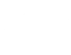 Logo partnera — Rise Customs